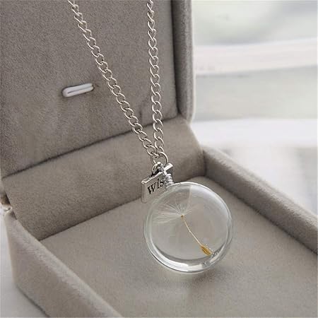 NYAOLE getrocknete Blume Silber Farbe Kette Löwenzahn Samen Doppelseitige Zeit Edelstein Halskette Anhänger, wünschen Halsket