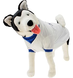 what's the most popular dog breed in the world