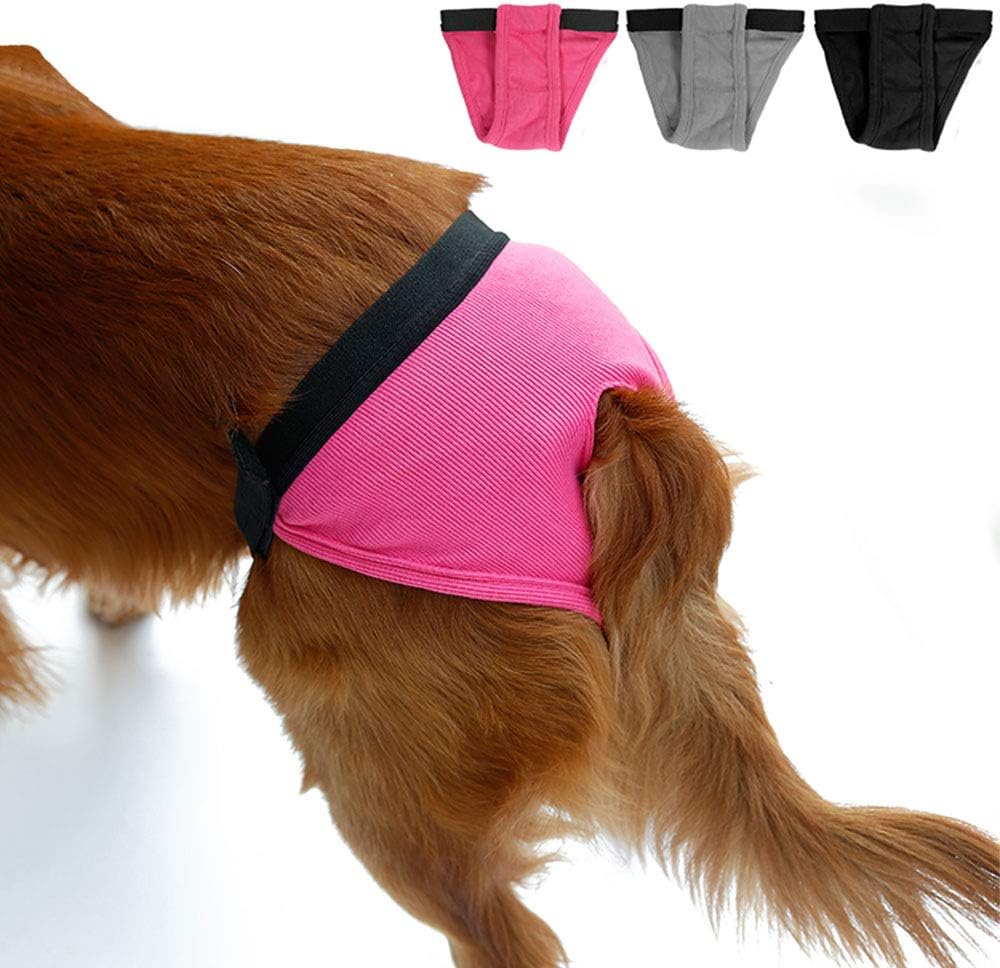 dog underwear for period
