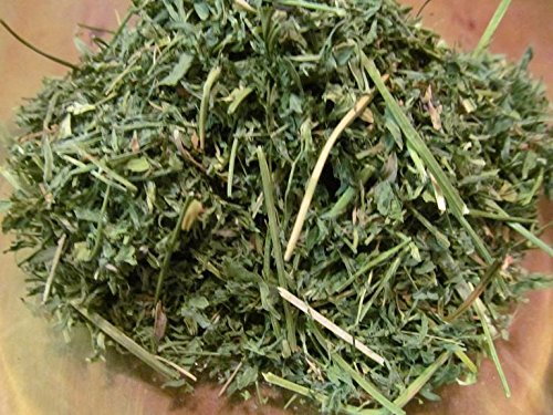 Alfalfa Leaf Raw Herb with Laminated Reference Card, Non GMO, No Additives, No Preservatives, Fresh Dry Herb Cut and Sifted