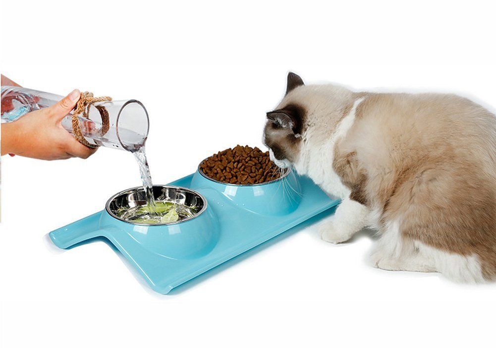 Pet Bowl Double Dog Cat Stainless Steel Bowls with No-Spill Non-Skid Mat