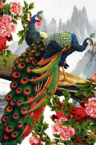 PigBangbang,Intellectiv Games Photomosaic Jigsaw Puzzle Basswood in a Box 1000 Piece 29.5 X 19.6'' Famous Paintings Mural Home Decoration-Peacock Peony Ink Drawing