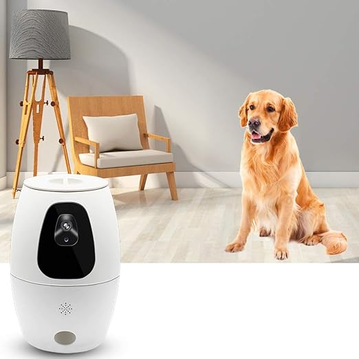 pet video monitor and treat dispenser