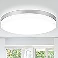 DLLT 24W Modern Dimmable Led Flush Mount Ceiling Light Fixture, 13 Inch Silver Round Close to Ceiling Lights for Bedroom, Kitchen, Dining Room, Living Room 3000K-6000K 5 Light Color Adjustable
