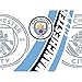 Tervis Premier League - Manchester City Insulated Tumbler with Wrap and Navy Lid, 24 oz, Clear