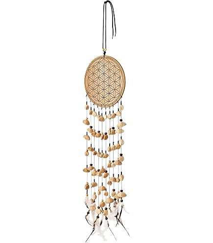 Amazon.com: Meinl Sonic Energy Mediation Seed Shell Chimes