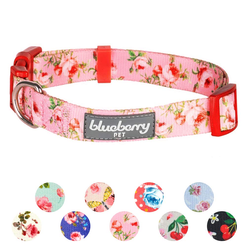 Best Blueberry Collar 3M Life Sunny