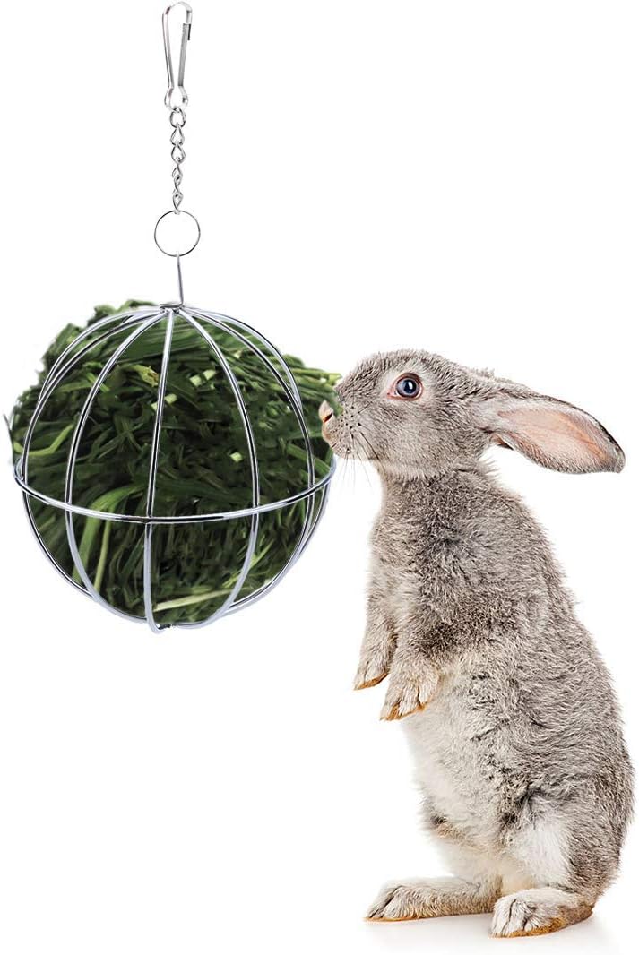 Amazon Com Zdjr Hay Feeder Small Stainless Rabbit Toys And