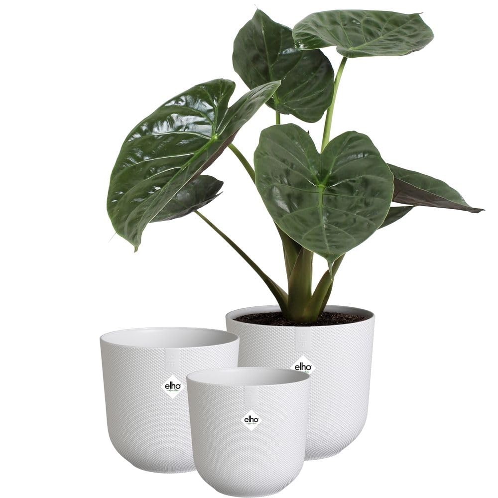 elho Jazz Round Flower Pots - Indoor Plant Pots - 100% Recycled Plastic - Unique Structure - Set of 3 - Ø 14, 16, 19 cm - White/Silky White