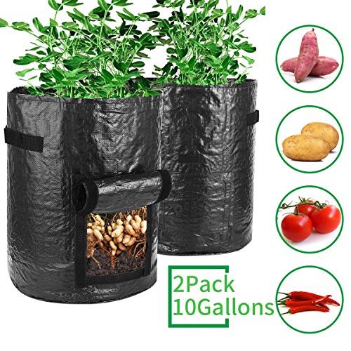 Futone Grow Bags, Potato Planter Bags, Planting PE Aeration Pots with Handles and Flap, Garden Bags for Vegetables, Tomatoes, Carrots, Onions (10 Gallons – 2 Pack – Black)