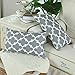CaliTime Pack of 2 Soft Canvas Pillow Covers Cases for Couch Sofa Home Decor Modern Quatrefoil Accent Geometric 12 X 20 Inches Grey