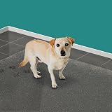 HG Dog Stain & Odour Away 500ml Stain Remover Spray view 4