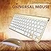 KINGEAR Wireless Keyboard/Mouse Full-size Whisper-quiet Wireless Keyboards and Mouse for Desktop and Mac in Ergonomic Design