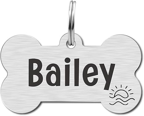 Amazon Com Stainless Steel Engraved Dog Name s Two Sided Personalized Id Customizable Dog And Cat s Bone Large Office Products