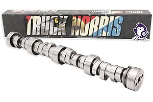 DYNOSTY BTR Brian Tooley Racing Truck Norris NSR Camshaft No Springs Required for Gen 3/4 LS 4.8 5.3 5.7 6.0 6.2 LS1 1999-2013 Vortec (Cam Only)