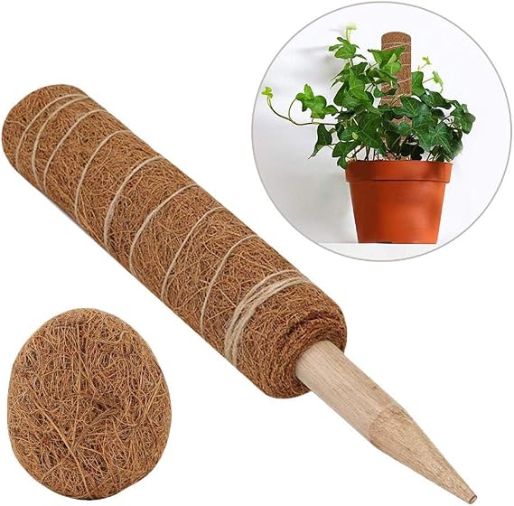 LIJUMN Palo De Fibra De Coco Plantas Trepadoras Guía para Plantas ...