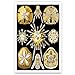 NATURAL CURIOSITIES by Ernst Haeckel postcard set of 20 postcards. Botanical illustrations theme post card variety pack. Made in USA.