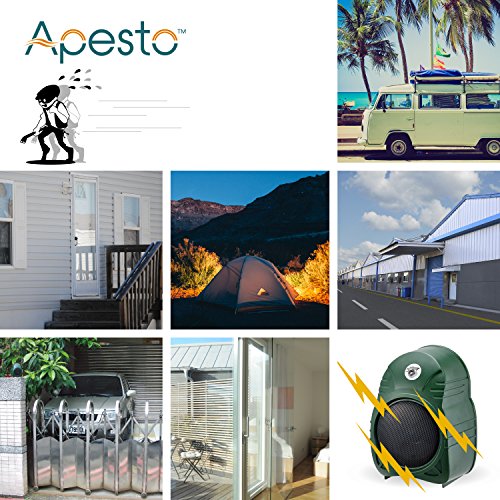 Apesto (The Sentry Safety Technology International Electronic Watchdog