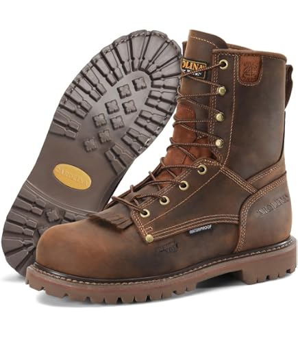 Amazon.com | Carolina Surveyor 8 display picture 3