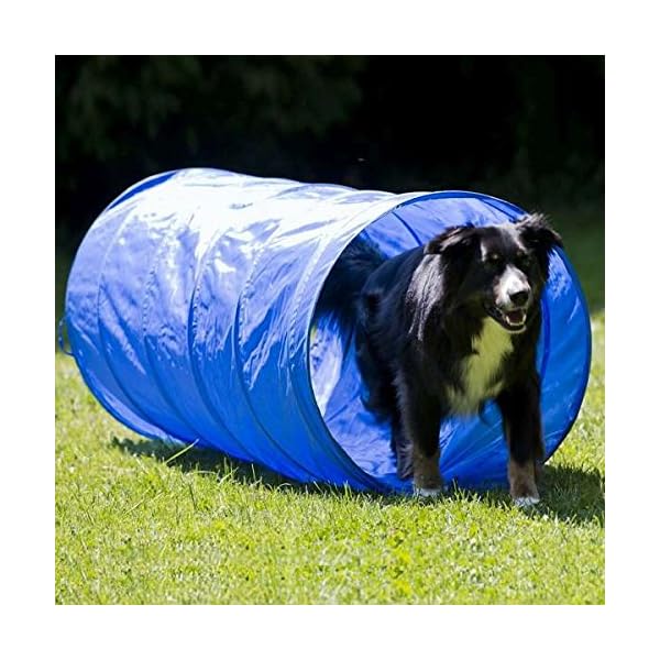 Dog Agility Set K2 KatzeHundTier Shop