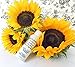 Pixie Dust Volumizing Powder Hair Texture Teasing Styling For Women Men Alcohol Free Gluten Free Sodium Chloride Free Winsome & Wisdom Cruelty Free Professional Salon Hair Care Luxury Styling Products