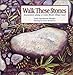 Walk These Stones: Encounters Along a Costa Rican Village Road by Leslie Hawthorne Klingler