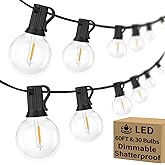 Bosceos 60FT Outdoor G40 LED Globe String Lights Dimmable Waterproof Shatterproof Light Strings with 30 Bulbs Connectable Com