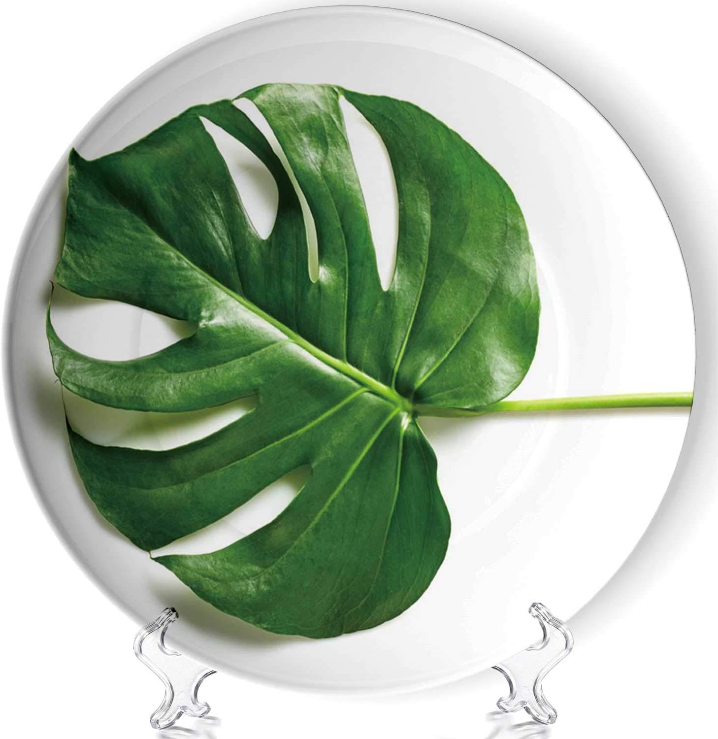 C COABALLA Green Tropical Leaf of Monstera Art Decorative Ceramic Plates Display Plate Crafts,with Stand,for Living Room of The Home,7''
