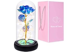 AUSAYE Mothers Day Rose Gifts for Mom Women Valentines Rose Gift for Women,Blue Birthday Gifts for Mom Her, Rose Flower in Glass Dome, Anniversary Women Gift