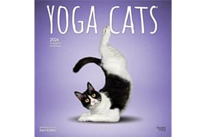 Yoga Cats OFFICIAL | 2026 12 x 24 Inch (Hanging) Monthly Square Wall Calendar | Plastic-Free | BrownTrout | Animals Humor Pets