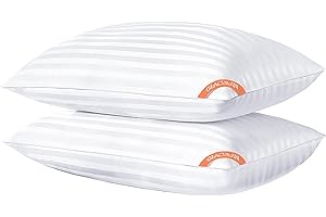 Glaciman Bed Pillows for Sleeping Queen Size Set of 2, Hotel Quality Queen Pillows 2 Pack for Side and Back Sleepers, Breathable Cover and Down Alternative Filling, White Piping，20X28 inches