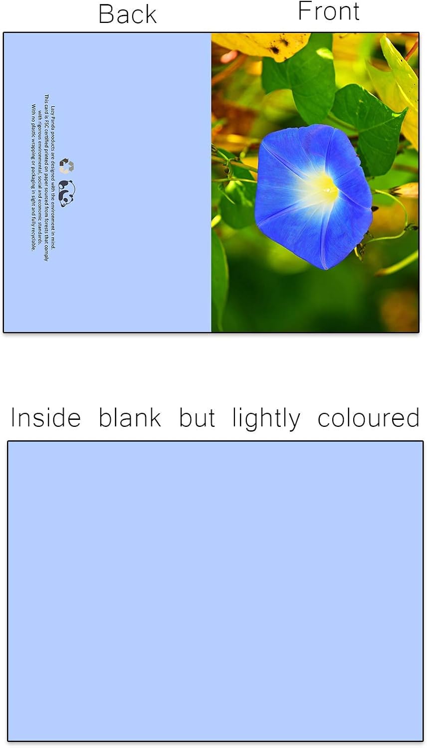 32 Different Flower Photo Blank Greeting Cards, Multicoloured, A6 (14.8 cm x 10.5 cm) - Image 4