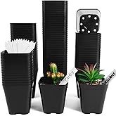 June Fox Small Seedling Pots 4 Inch, 100 Pcs Square Plant Pots Bulk, Plastic Nursery Pots with Drain Holes for Seedlings, Succulents, Cuttings (Black)