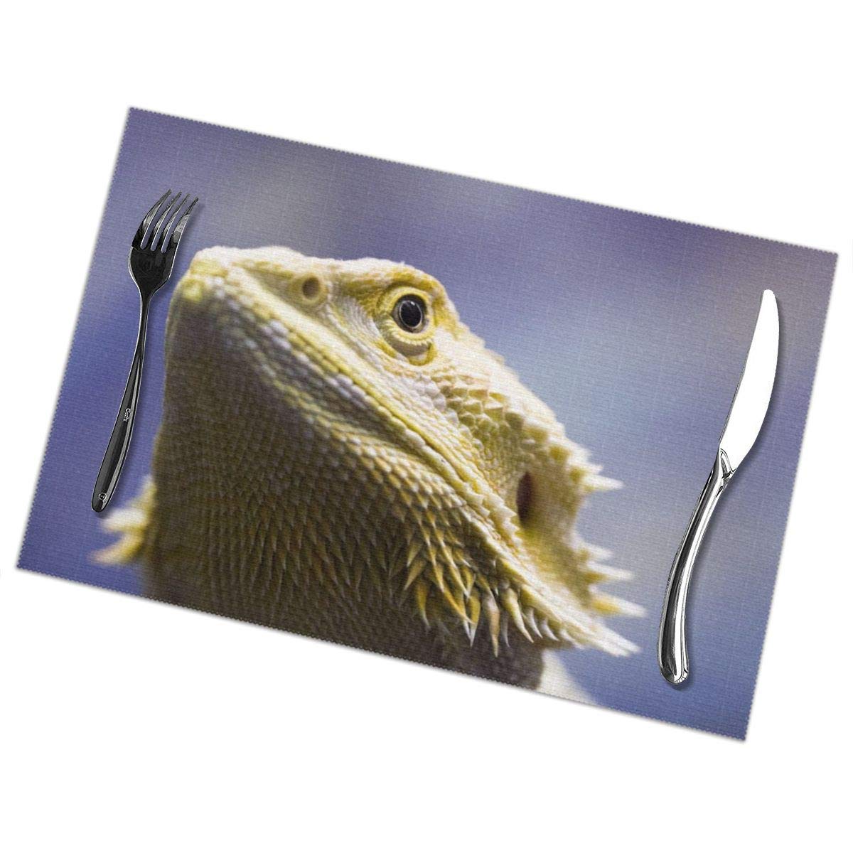 Best Dragon Placemats For Dining Table Set Of 6