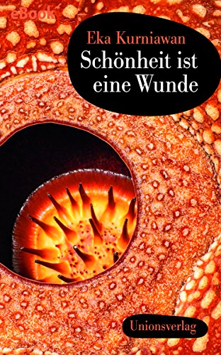 Schönheit ist eine Wunde: Roman (German Edition)