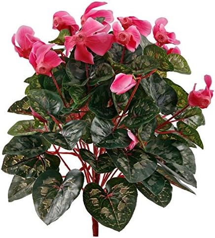 15" UV Rated Cyclamen Bush - Fuchsia