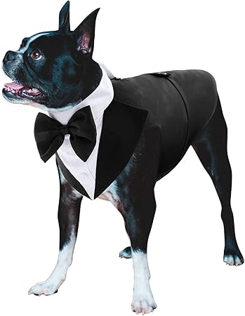 dog tuxedo shirt
