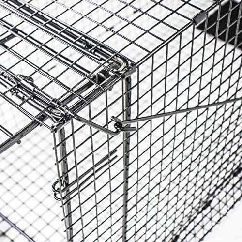 Humane Trap - Live Animal (Coyote, Stray Cat, Fox, Raccoon) Trap - 50"x24"x19"