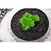 American Bowfin Caviar &ndash; Wild-Caught Louisiana "Choupique" Roe, Malossol Small Dark Pearls (16 oz / 450 g)