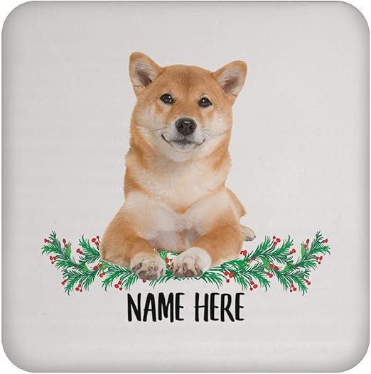 funny shiba inus