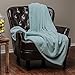 Chanasya Super Soft Warm Elegant Cozy and Decorative Velvet Fleece Aqua Blue Microfiber Throw Blanket (50