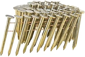 meite Roofing Nails 15 Degree 1-3/4-Inch Electro Galvanized Rust-Proof Coil Nails, Big Head Nail for Electric or Pneumatic Roofing Nailer Gun, Smooth Shank Roof Nail for Lathing Sheathing, 2880PCS