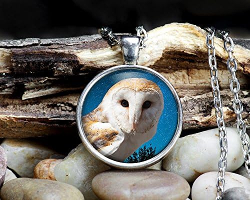 Barn Owl - Customizable Pendant Necklaces and Key chains - Birds, 1" round or square, silver or bronze