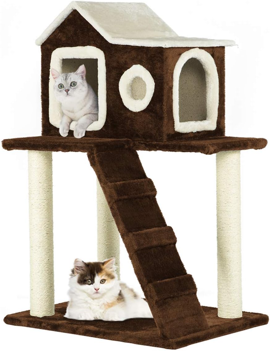 Best Cat House With Ladder