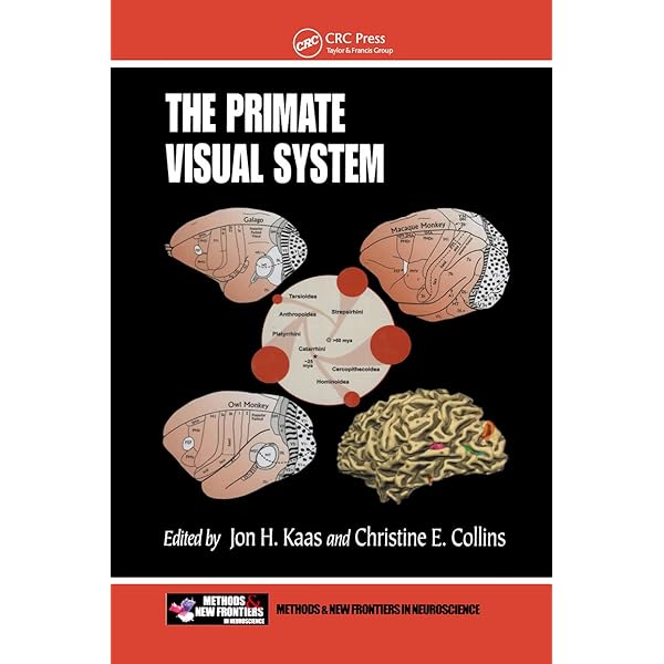 健康・医学 Brain Mechanisms and Spatial Vision Brain Mechanisms and Spatial Vision 【公式通販】