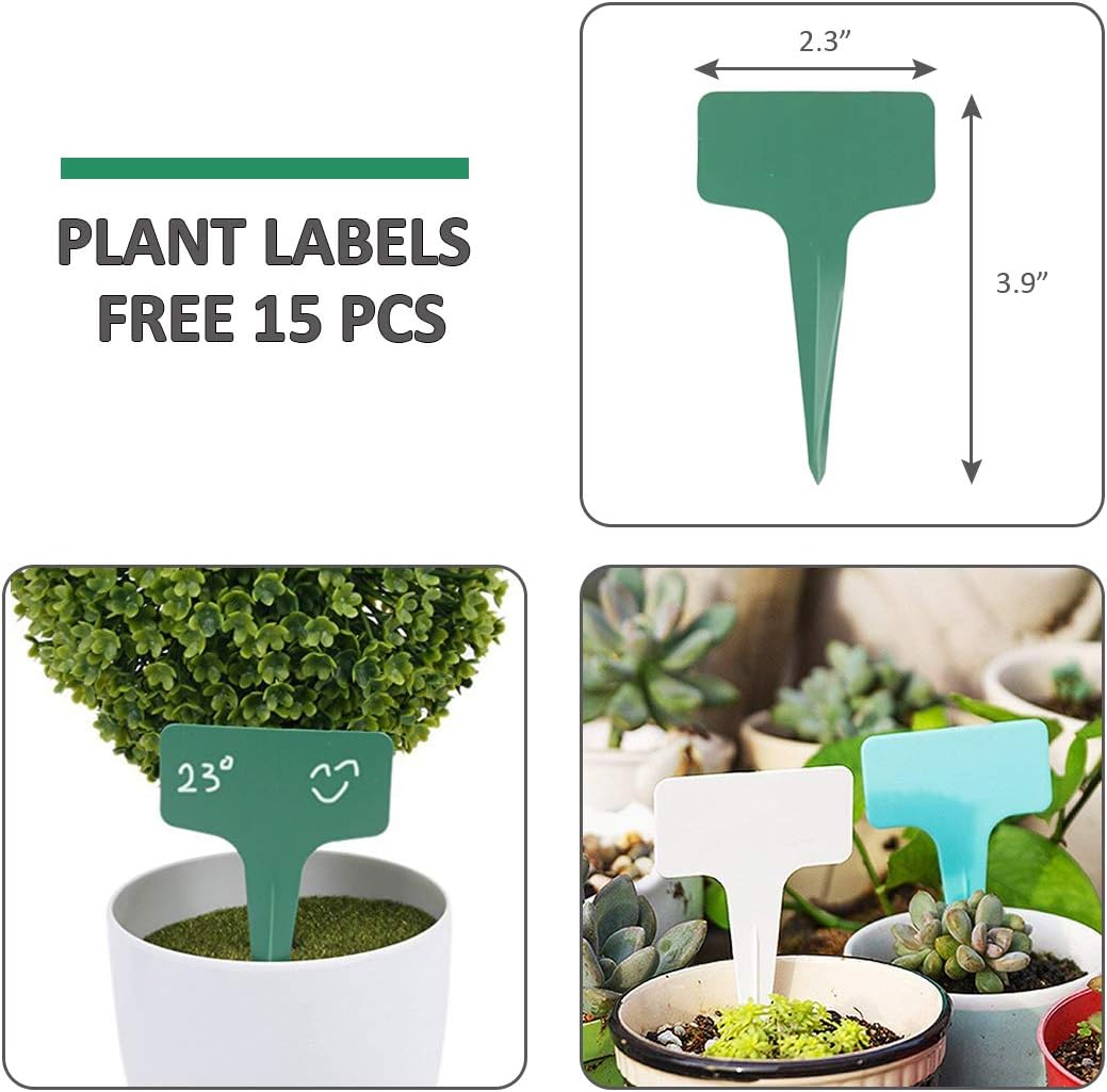 GROWNEER 15 Packs Clear Plant Saucer Drip Trays, with 15 Pcs Plant Labels, Plastic Plant Pot Saucers Flower Pot Set for Indoor Outdoor Garden, Assorted Sizes 6/8/10 Inch, 5 Pcs of Each Size: Kitchen & Dining