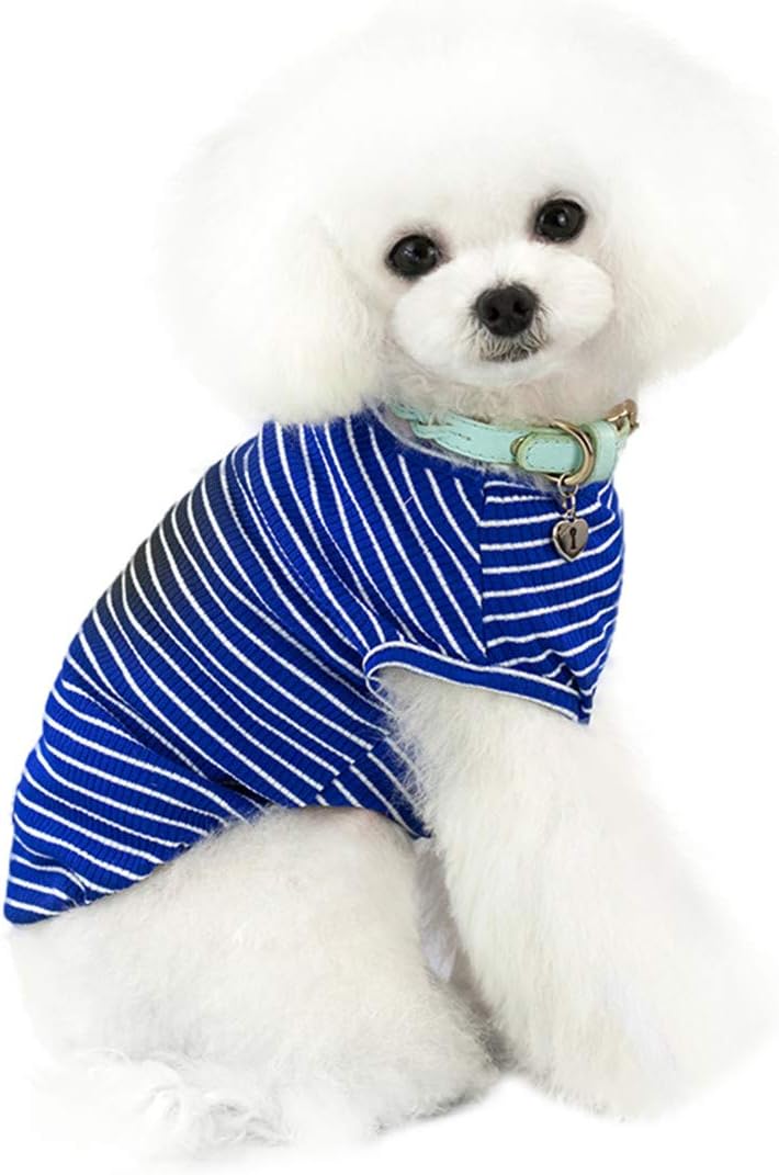 Haustier Niedlicher Gestreifter Haustier Pullover Katze Pulli Kleine