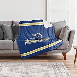 Worcester State Blanket, 60"x80" Primary