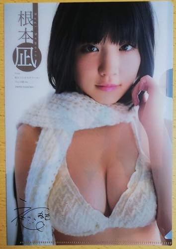 Amazon 根本凪from虹のコンキスタドールでんぱ組 Inc18年ヤングアニマル24号特別付録両面プリントクリアファイル アイドル 芸能人グッズ 通販