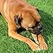Pawstruck Natural 7” Braided Bully Sticks for Dogs, Tough Long-Lasting, Rawhide-Free, Low Odor, Healthy Single Ingredient Chew Treat for Aggressive Chewers, 10 Count, Packaging May Vary
